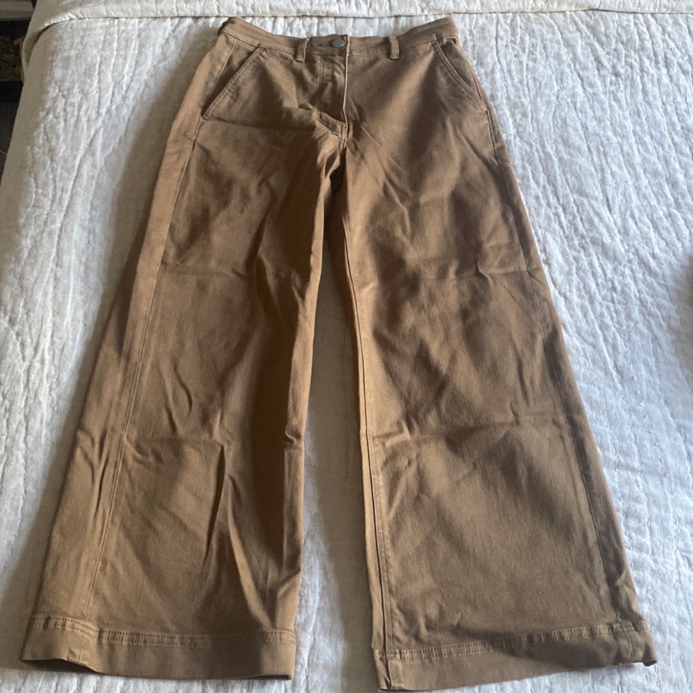 Everlane Wide Leg Crop Pants